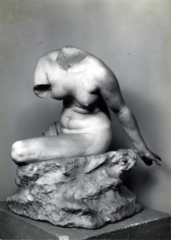 Torso di donna